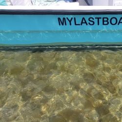 Eduardono fishing boats